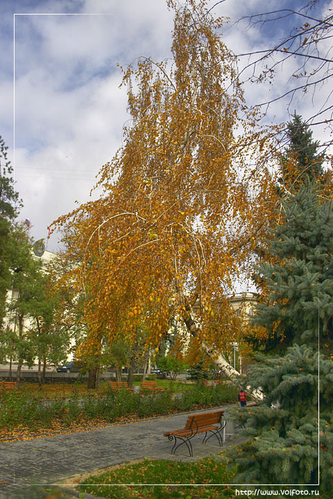 Сквер на пр. Ленина фото