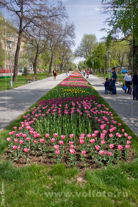 Сквер на проспекте Ленина фото