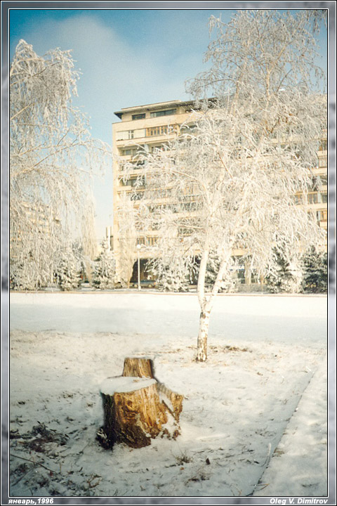 Зимний парк фото