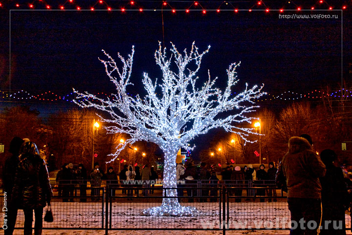 Светодиодное дерево фото