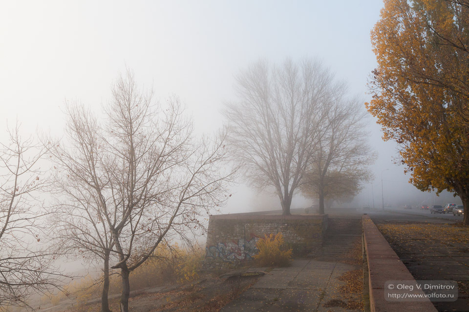 Утренний туман на набережной фото