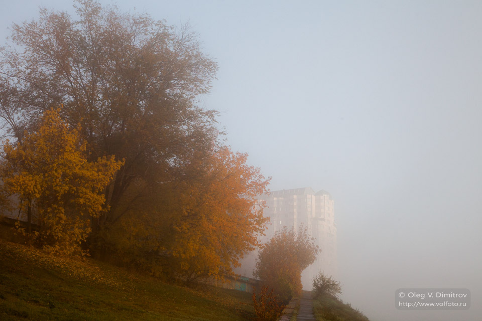 Утренний туман на набережной фото