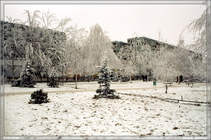 Парк в снегу фото
