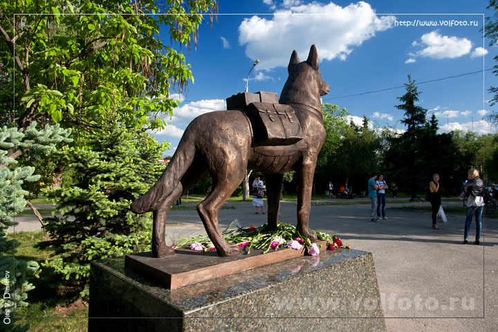 Памятник собакам-истребителям танков фото