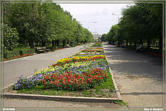 Волгоград аллея парка Победы фото
