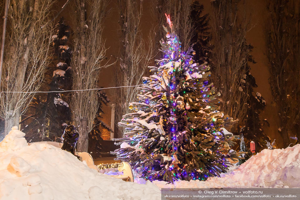 Новогодняя елка на Аллее Героев фото