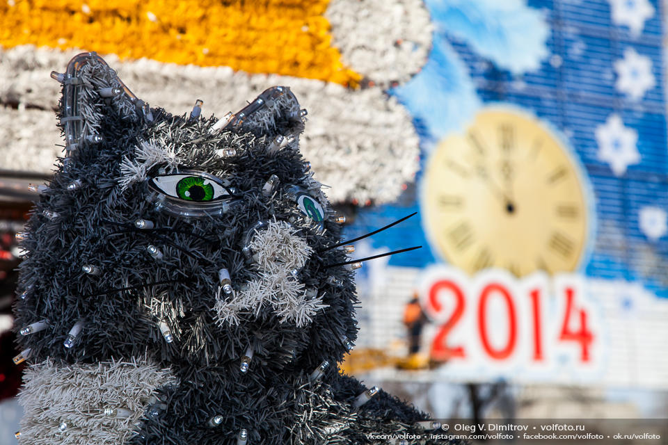Кот в Новый год фото